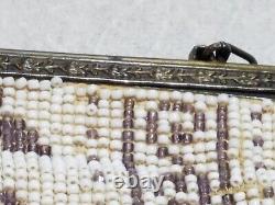 Antique Art Deco 1920's Fringed Micro Beaded Lavender & White Floral Purse Bag