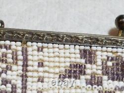 Antique Art Deco 1920's Fringed Micro Beaded Lavender & White Floral Purse Bag