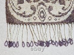 Antique Art Deco 1920's Fringed Micro Beaded Lavender & White Floral Purse Bag