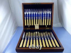 Bovine Bone Handle & Sterling Collars Set 12 Place Cased By R. F. Mosley & Co