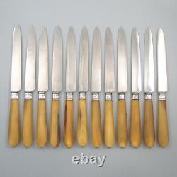 Vintage French Art Deco Dinner & Dessert Knives, Horn Handles, Thiers Apollonox